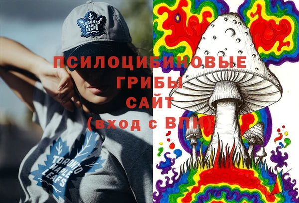 эйфоретик Дмитриев