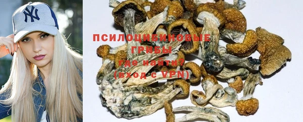 дурь Дмитровск