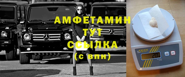 трава Няндома
