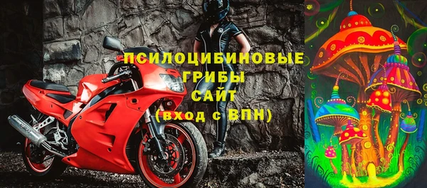 дурь Дмитровск
