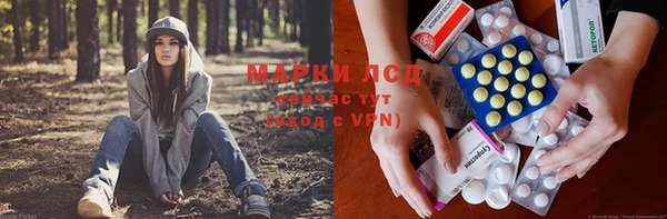 эйфоретик Дмитриев